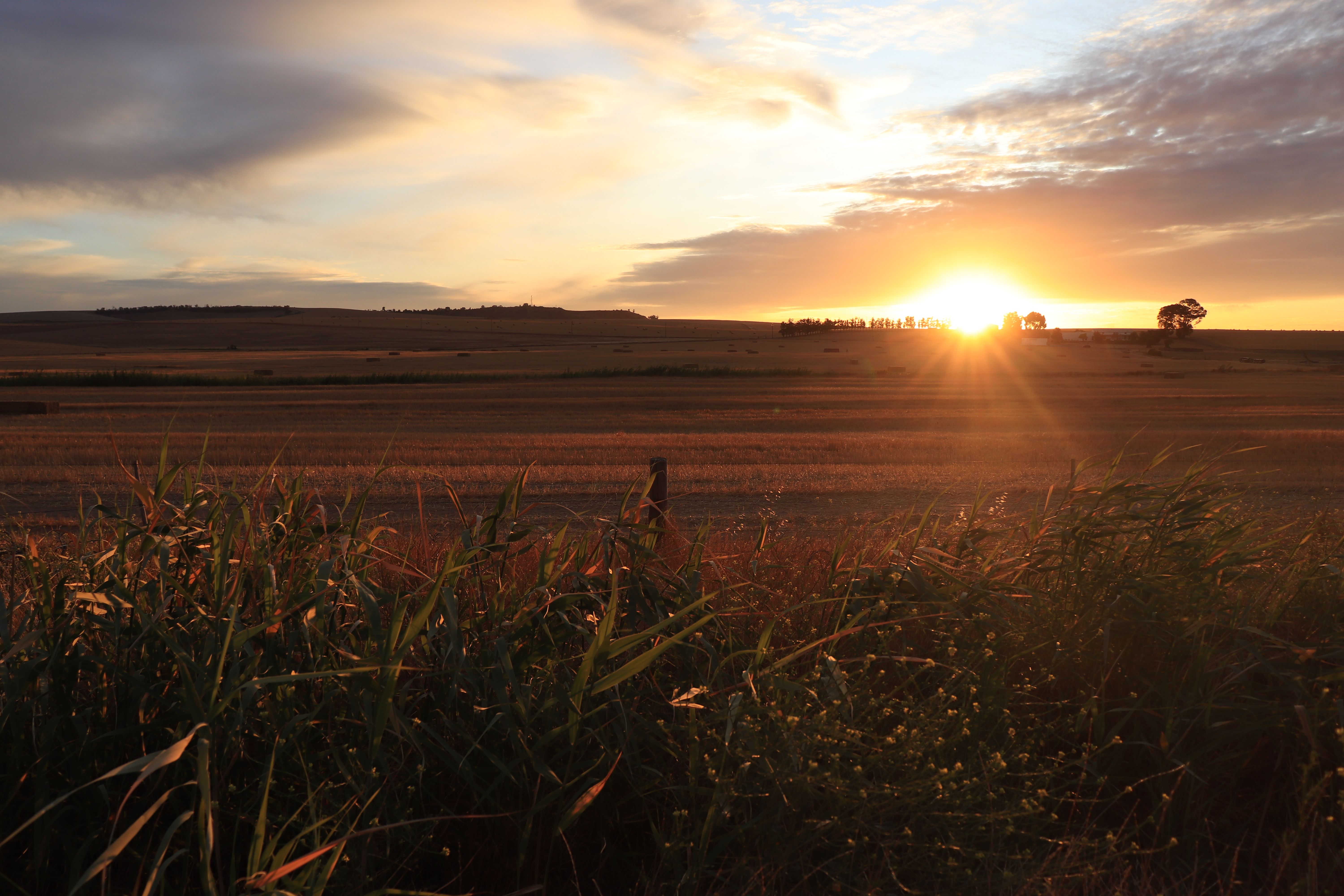 Beautiful farm landscape at golden hour